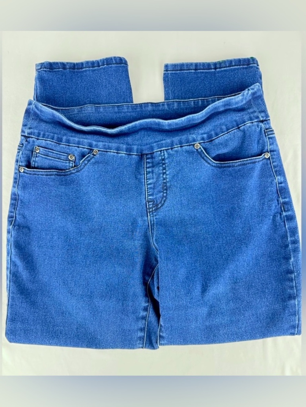 Alfred Dunner Blue Women Jeggings